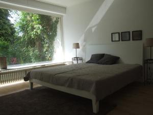 巴特萨尔茨乌夫伦Das Stadthaus的一间卧室设有一张床和一个大窗户