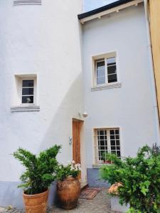 圣温德尔Ferienwohnung Villa Wolke的两棵大盆栽植物的白色房子