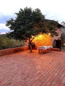 因普鲁内塔Charming 4-Bed Cottage 15 minutes from Florence的砖砌的庭院里有一棵桌子和一棵树