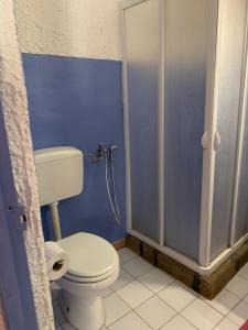 潘泰莱里亚Cactus b&b Le casette di Marilena的蓝色的浴室设有卫生间和淋浴。