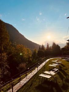 Roncobello奥洛比阿尔卑斯度假酒店的坐在山顶上的一排长椅