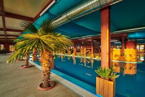 卢切内茨Miraj Resort的一座在游泳池前有两棵棕榈树的建筑