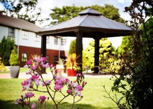 莫尔德博福特公园酒店的庭院中带粉红色花的凉亭