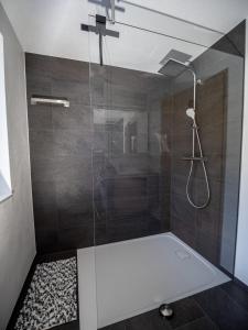 AusserbrazBurtscherhof in Braz的带淋浴的浴室和玻璃门