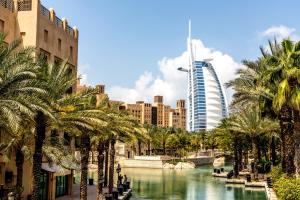 迪拜迪拜互联网城快捷假日酒店的享有棕榈树和河流的城市美景