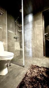 鲁卡Ruka Chalet Petit Oliver的带淋浴和卫生间的浴室以及地毯。
