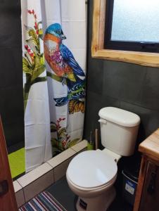 柯纳里佩CABAÑAS EL DIUCO EN COÑARIPE 6的浴室设有卫生间和鸟淋浴帘