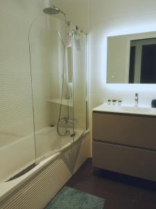 Montastruc-la-ConseillèreChez Jo chambre d'hôtes的带淋浴和盥洗盆的浴室