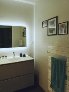 Montastruc-la-ConseillèreChez Jo chambre d'hôtes的一间带水槽和镜子的浴室