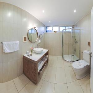 希萨勒尼勃杜贝金钥匙酒店的一间带水槽、淋浴和卫生间的浴室