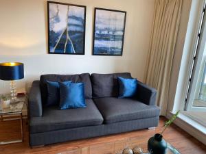 沃金Cloud9SA at The Nankeville Woking的客厅配有带蓝色枕头的灰色沙发