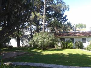 Luis Guillón西扎度假屋的一座带绿草和树木的庭院