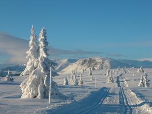 高尔Perfect Christmas atmosphere! Beautiful Apartment at Skagahøgdi with Panoramic View的一片覆盖着树木的雪地,一片雪覆盖的山