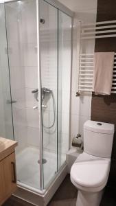 奇廉内瓦达斯DEPARTAMENTOS TERMAS DE CHILLAN的一间带卫生间和玻璃淋浴间的浴室