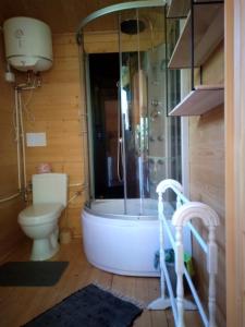 姆拉哥沃Mazurskisen的带浴缸、卫生间和淋浴的浴室。