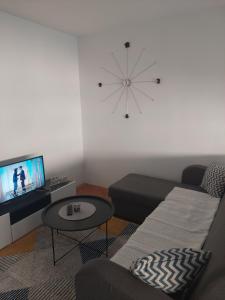 萨拉热窝Apartman F&S - Novo Sarajevo的带沙发和电视的客厅
