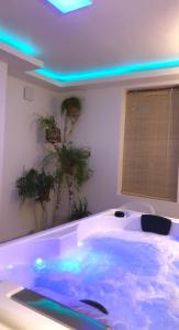 WallersParadis Du Nord的客房内的大浴缸配有蓝色的灯光