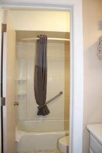 列克星敦Rockbridge Inn的带淋浴帘和卫生间的浴室