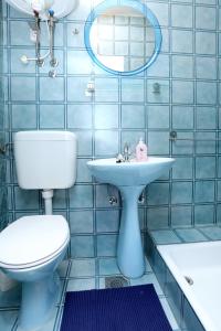特雷斯塔尼克Apartments by the sea Trstenik, Peljesac - 4570的蓝色瓷砖浴室设有卫生间和水槽