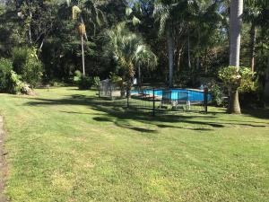 Tanawha布德林姆菲斯特汽车旅馆的一个带游泳池和棕榈树的公园