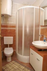 特雷斯塔尼克Apartments by the sea Trstenik, Peljesac - 4511的带淋浴、卫生间和盥洗盆的浴室