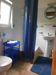PotomjeApartment Dingac - Potocine 4533b的浴室设有蓝色的浴帘和水槽