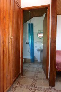 PotomjeApartment Dingac - Potocine 4533b的浴室设有蓝色的浴帘和水槽