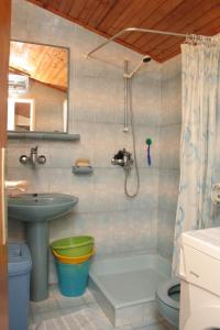 拉茨斯切Apartments by the sea Racisce, Korcula - 4362的一间带水槽、卫生间和淋浴的浴室