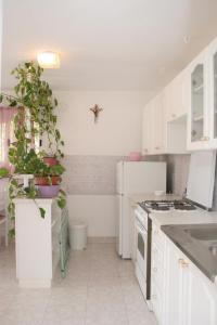 普利兹巴Apartments by the sea Prizba, Korcula - 4485的厨房配有白色橱柜和盆栽植物
