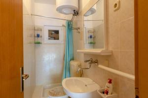 普利兹巴Apartments by the sea Prizba, Korcula - 4479的一间带卫生间和水槽的小浴室