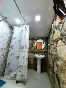伊杰万Guest house Ijevan's Garden的浴室配有淋浴帘和盥洗盆。