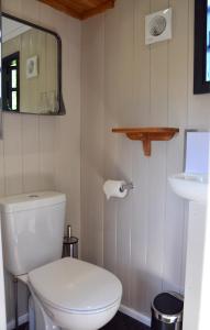 布里斯托Large Luxury Shepherds Hut with Hot Tub nr Bath的浴室设有白色的卫生间和镜子
