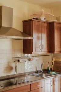 戈梅拉岛圣塞瓦斯蒂安Apartamento en Casco Histórico的一个带木制橱柜和水槽的厨房