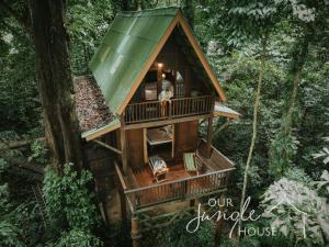 考索Our Jungle House的森林中的一个树屋