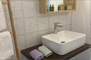 菲罗斯特法尼阿罗尼亚公寓酒店的一间带水槽和台面毛巾的浴室