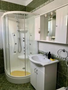 博尔沙Casa din livada的带淋浴和盥洗盆的浴室