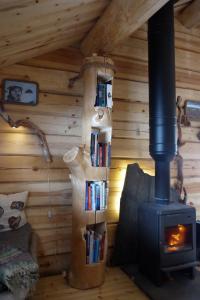 Bardu Huskylodge的一间设有木柴炉和书籍的房间