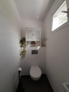 莱特鲁瓦西莱BLUE DREAM SPA的白色的浴室设有卫生间和窗户。