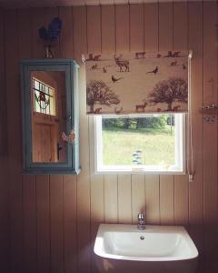 兰戈伦Thistlebank Yurt的一间带水槽的浴室和墙上的动物窗户。
