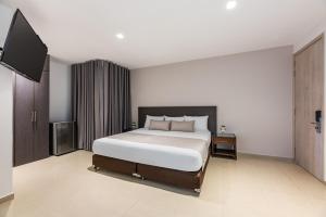 巴兰卡韦梅哈Hotel Elite的一间卧室配有一张床和一台平面电视