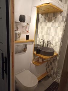 克拉约瓦STUDIO 22的一间带卫生间和水槽的浴室