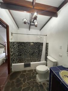圣卡洛斯Kasi at Paradise的一间带卫生间和石头淋浴的浴室
