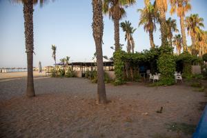 卡莱塔德贝莱斯La Casita del Pescador的一群棕榈树和海滩上的一座建筑