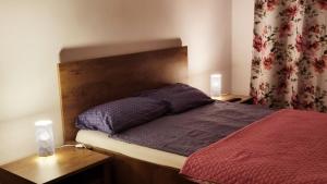 蒂米什瓦拉Forest Apartment Timișoara的一间卧室配有一张带木制床头板的床