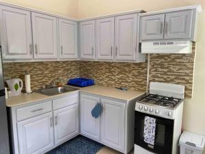 菲利普斯堡Cozy Studio Apartment in Quiet Neighborhood!的厨房配有白色橱柜、炉灶和水槽。