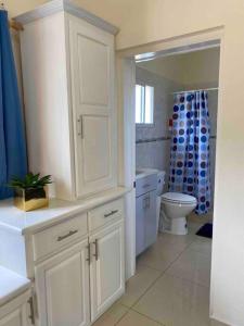 菲利普斯堡Cozy Studio Apartment in Quiet Neighborhood!的白色的浴室设有卫生间和淋浴。