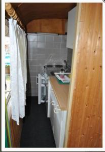 菲尔斯滕贝格Mobile-Home的一个带水槽和白色橱柜的小厨房