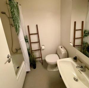 奥勒松A11的一间带卫生间和水槽的浴室