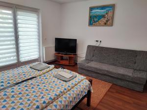 佐洛卡罗斯BM Apartman的客厅配有床和沙发