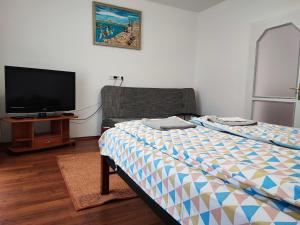 佐洛卡罗斯BM Apartman的一间卧室配有一张床和一台平面电视